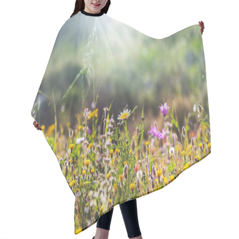 Personality  Sunny Day On The Flowers Meadow. Beautiful Natural Background. Hair Cutting Cape