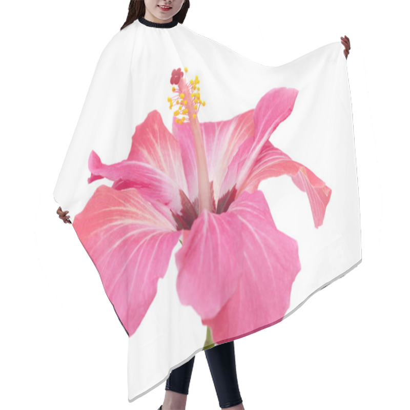 Personality  Pink Hibiscus Flower Isolated Hair Cutting Cape