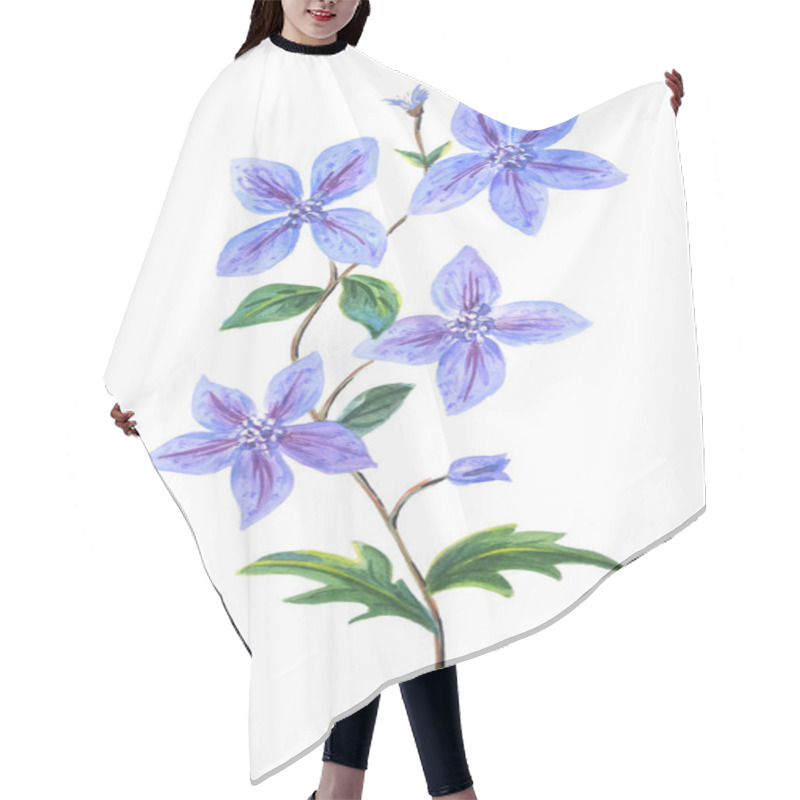 Personality  Blue Clematis With Buds And Leaves Isolated On A White Background. Beautiful Realistic Botanical Illustration. It Will Look Good On Congratulations, Invitations, Cards, Prints And Other Areas Of Decoration. Hair Cutting Cape