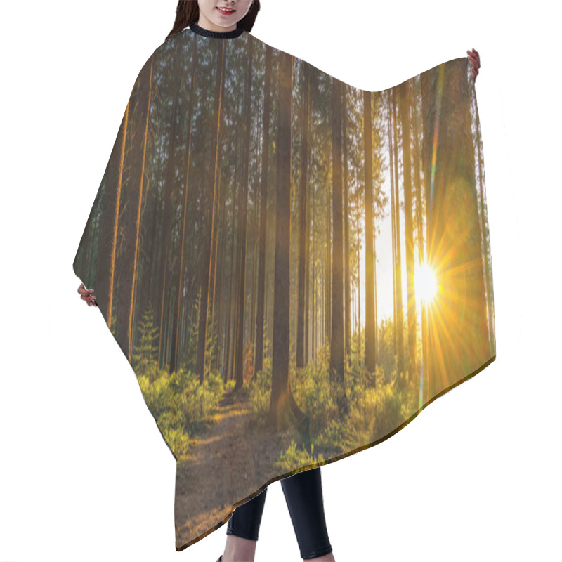 Personality  Silent Forest In Spring With Beautiful Bright Sun Rays - Wanderlust Hair Cutting Cape