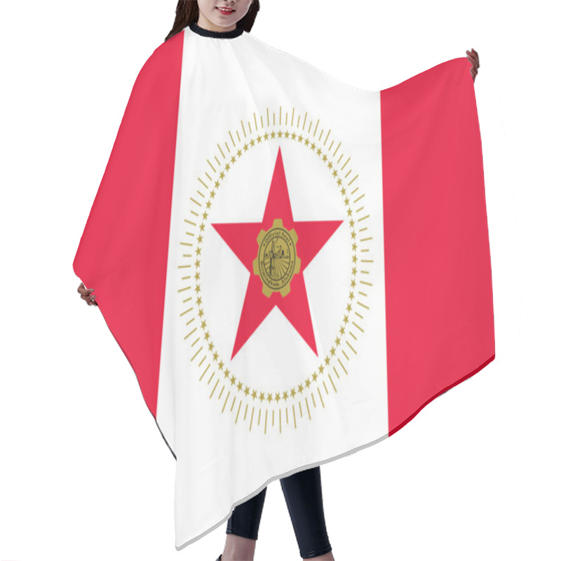 Personality  Flag Of Birmingham, Alabama, USA Hair Cutting Cape