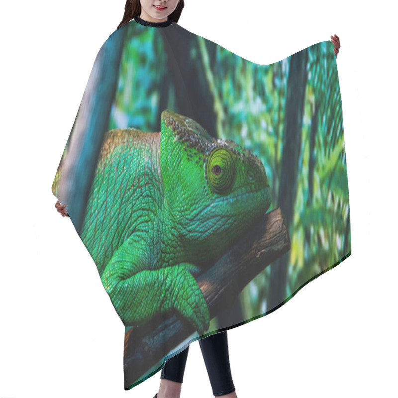 Personality  Chameleon Hair Cutting Cape