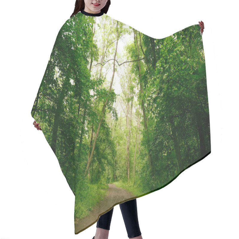 Personality  Path In Green Forest Hair Cutting Cape