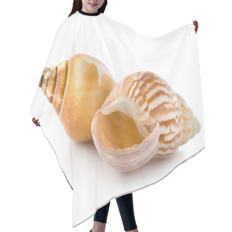 Personality  Two Seashells Hair Cutting Cape