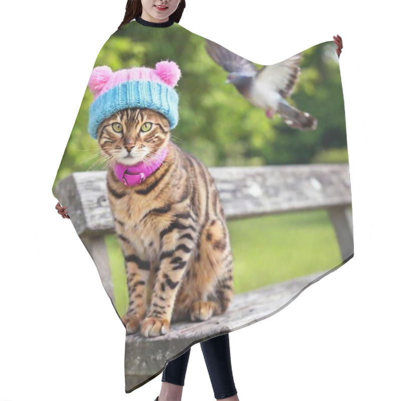 Personality  Bengal Kitty Dressed In A Pink Hat With The Ears Out Sitting At A Bench In A Park Chatting With A Dove Dressed In A Blue Hat Hair Cutting Cape