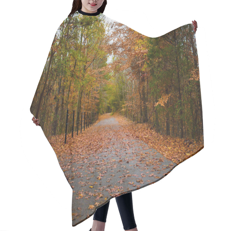 Personality  Fall Leaves On A Trail Hair Cutting Cape