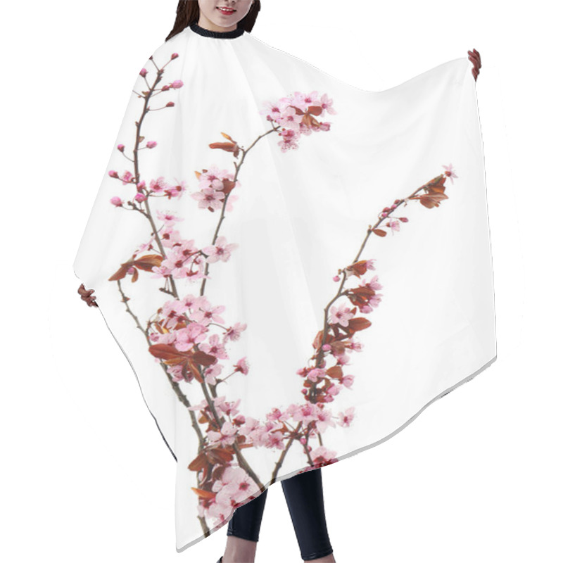 Personality  Beautiful Blossoming Branches On White Background Hair Cutting Cape