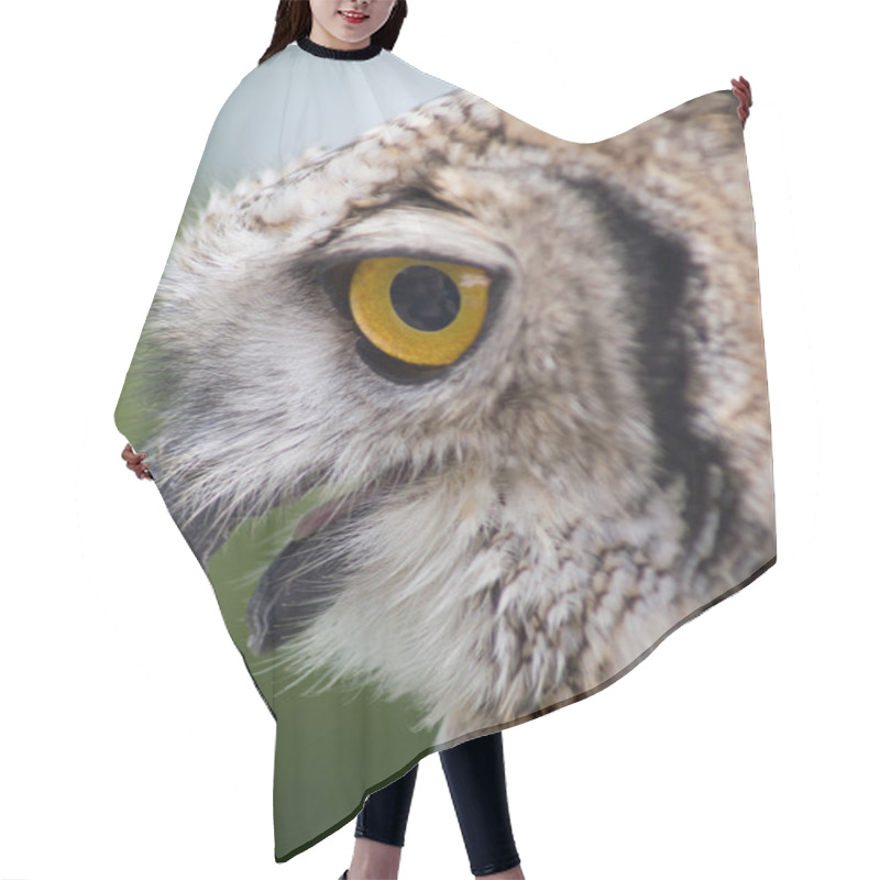 Personality  Owl Close Up Hair Cutting Cape