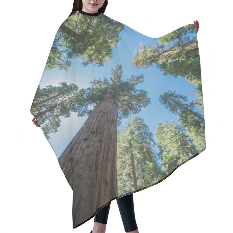 Personality  Sequoia Blue Sky Hair Cutting Cape