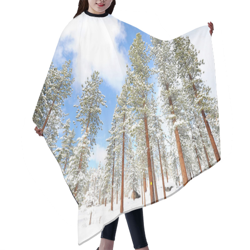 Personality  Tree On Mountain In Lake Tahoe Beach Hair Cutting Cape