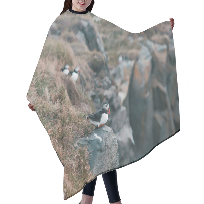 Personality  Reynisfjara Beach Hair Cutting Cape