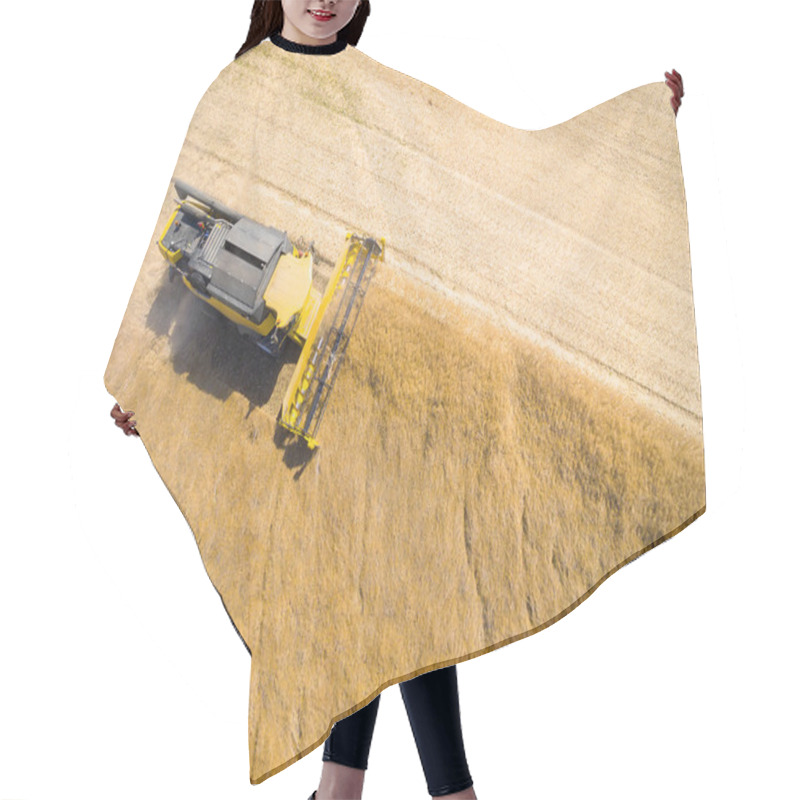 Personality  Aerial View Of Combine Harvester On Wheat Field. Hair Cutting Cape