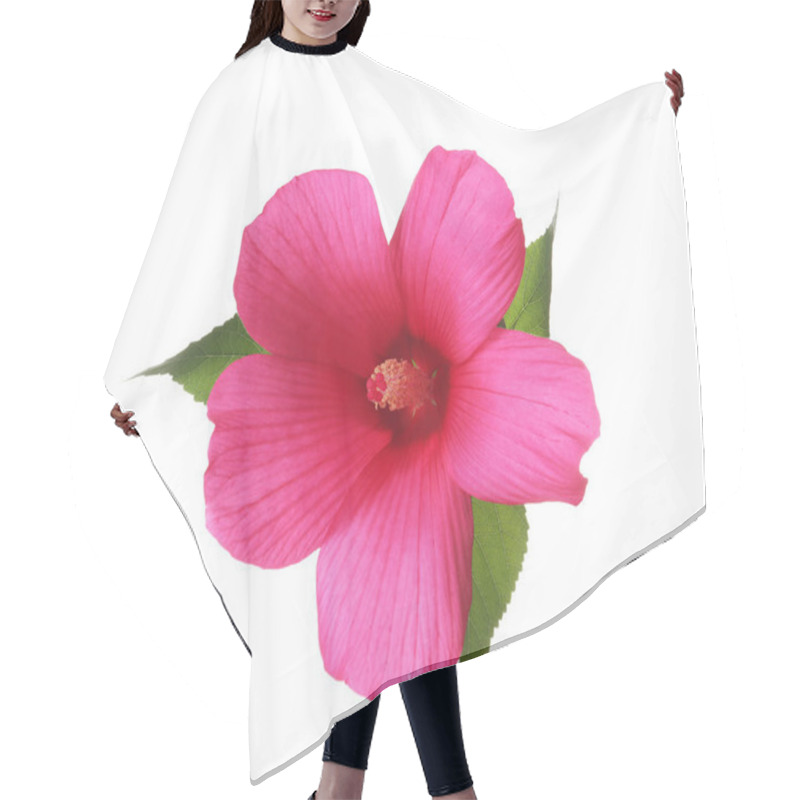 Personality  Beautiful Tropical Hibiscus Flower On White Background Hair Cutting Cape