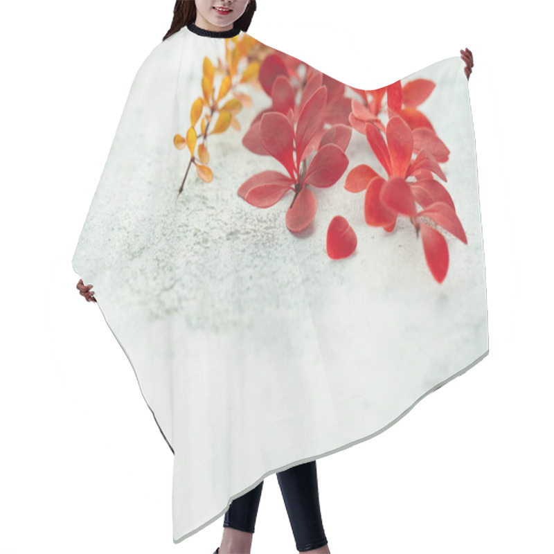 Personality  Autumn Branches With Red Fall Leaves On White Stucco Background Hair Cutting Cape