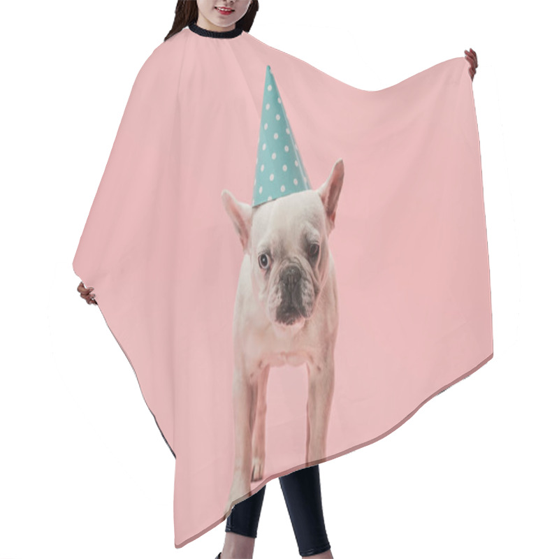 Personality  French Bulldog With Blue Birthday Cap On Pink Background Hair Cutting Cape