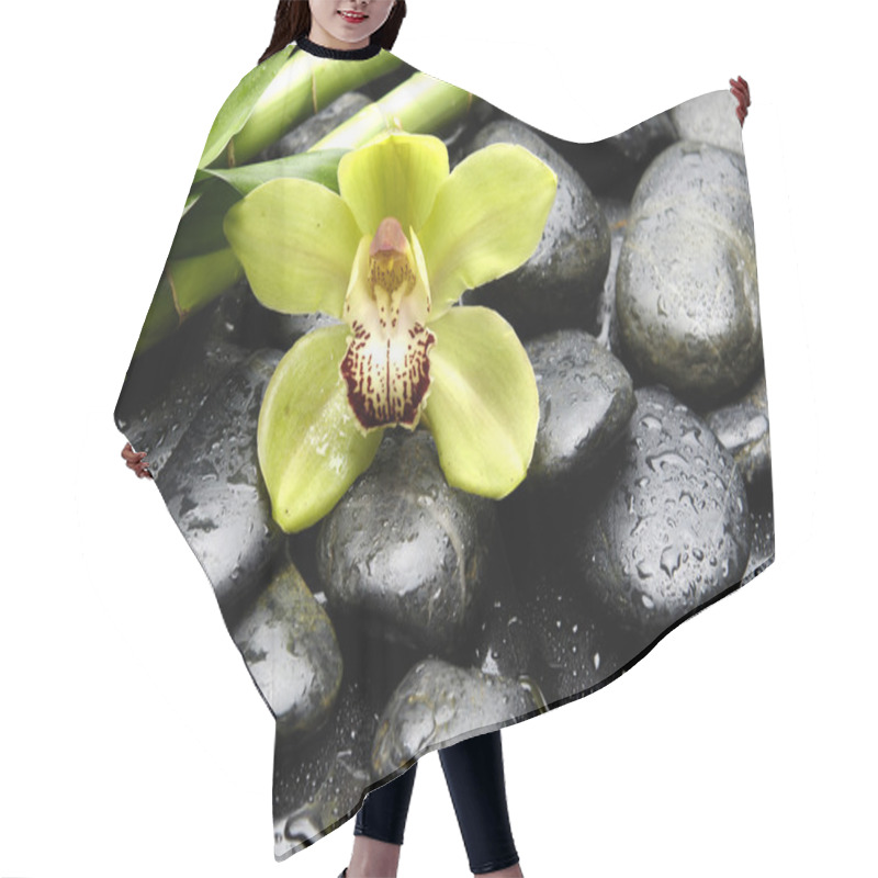 Personality  Zen Still Life Hair Cutting Cape