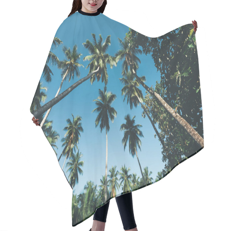 Personality   Coconut Trees On Tropical Island In The Sunshine Hair Cutting Cape