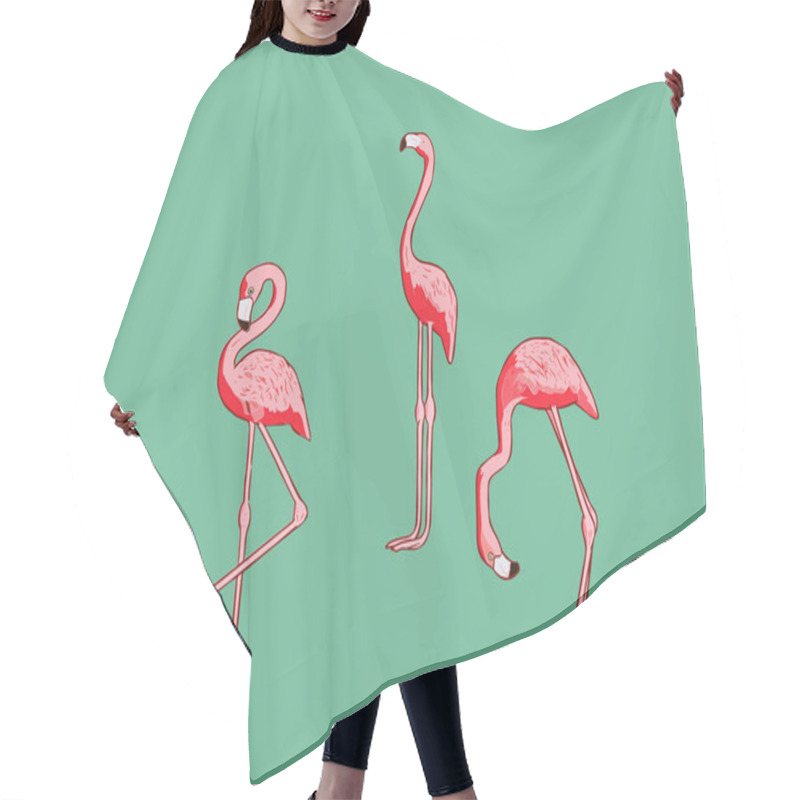 Personality  Vector With Flamingo Hair Cutting Cape