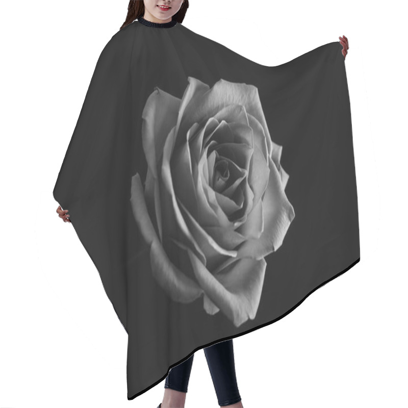 Personality  Roses Blossom In Black And White. Close Up Hair Cutting Cape