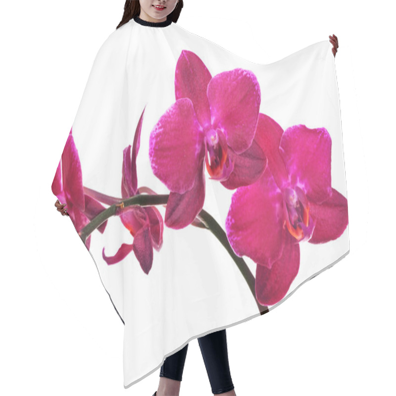 Personality  Isolated On White Branch With Four Red Orchids Hair Cutting Cape