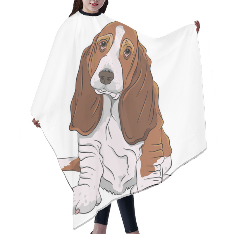 Personality  Basset Hound Puppy Realistic Hair Cutting Cape