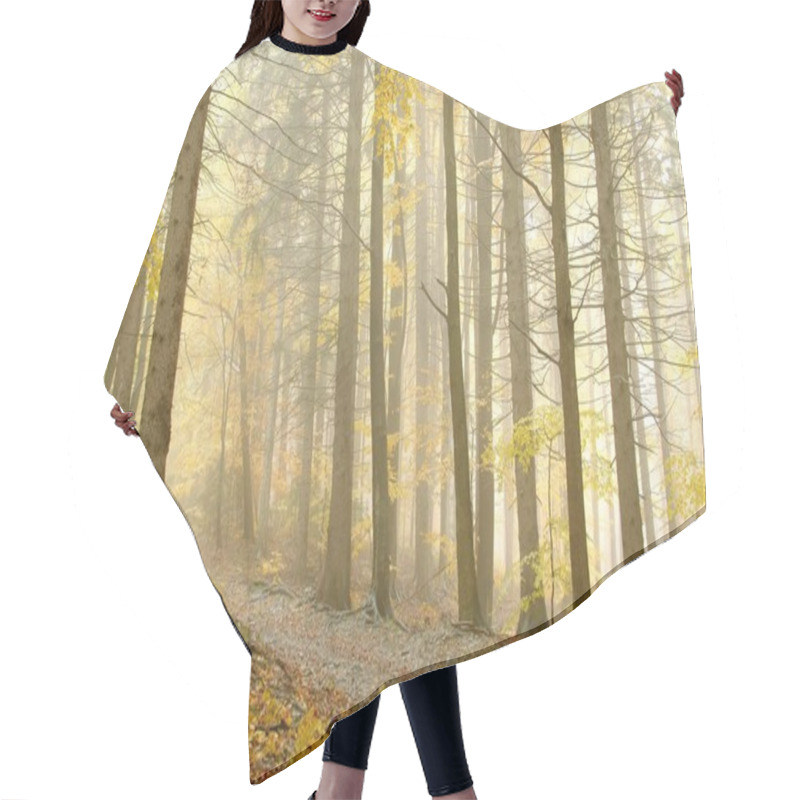 Personality  Picturesque Forest In The Fog Hair Cutting Cape