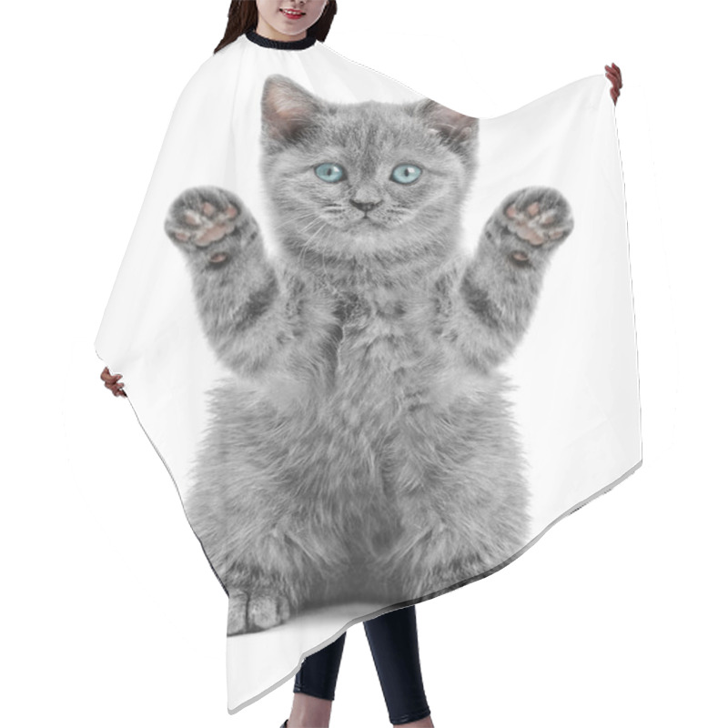 Personality  Scottish Kitty Hair Cutting Cape