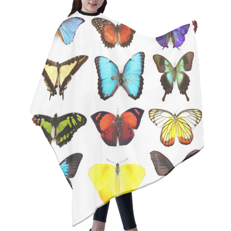 Personality  Butterflies Collection, Isolated Hair Cutting Cape