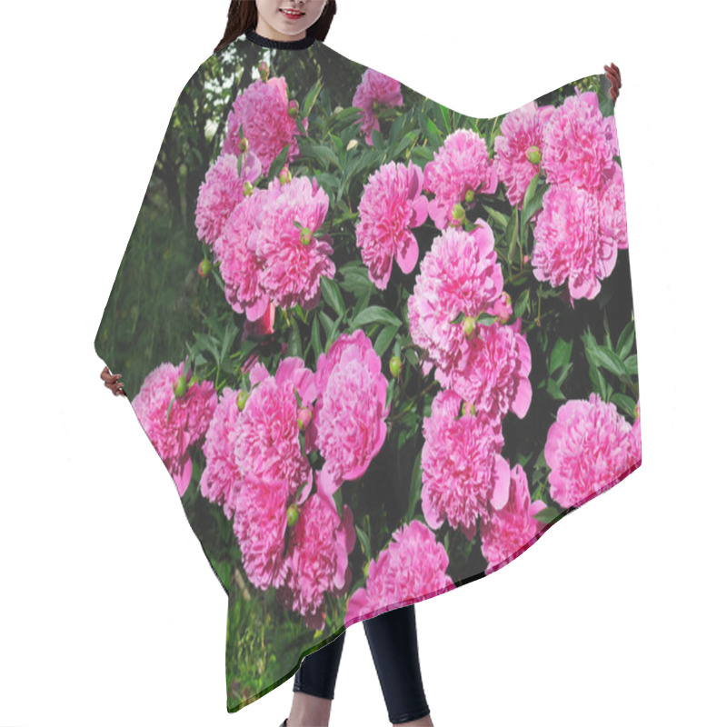 Personality  Pink Peony Bush Hair Cutting Cape