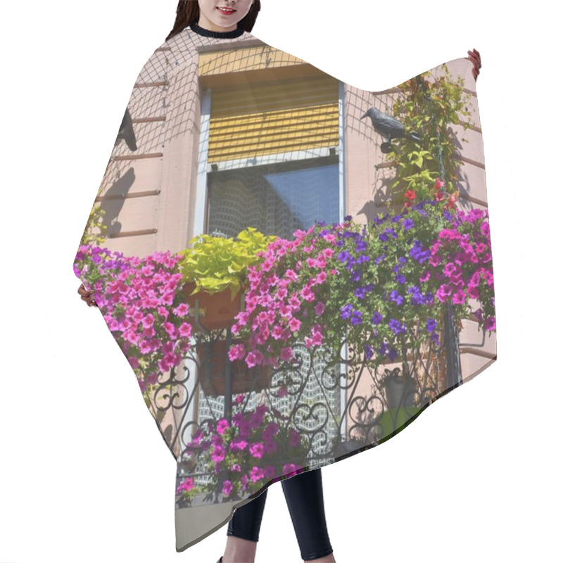 Personality  Black Forest,zell Am Harmersbach,balcony Petunias, Hair Cutting Cape