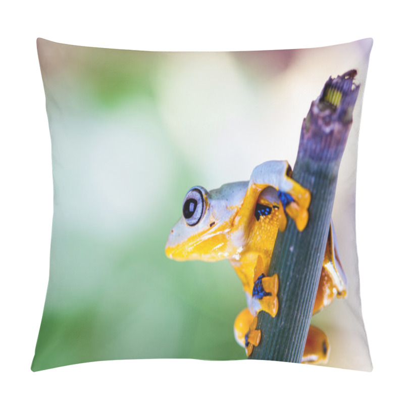 Personality  Frog On Exotic Leaf In The Real Jungle Pillow Covers