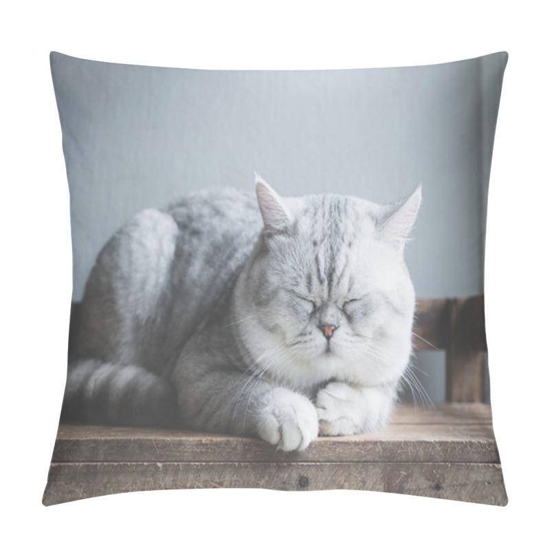 Personality  Cute Cat Sleeping On Wooden Shelf Under Light From A Window Pillow Covers