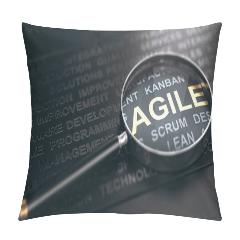 Personality  Focus On Project Management Methodology. Agile Software Developm Pillow Covers