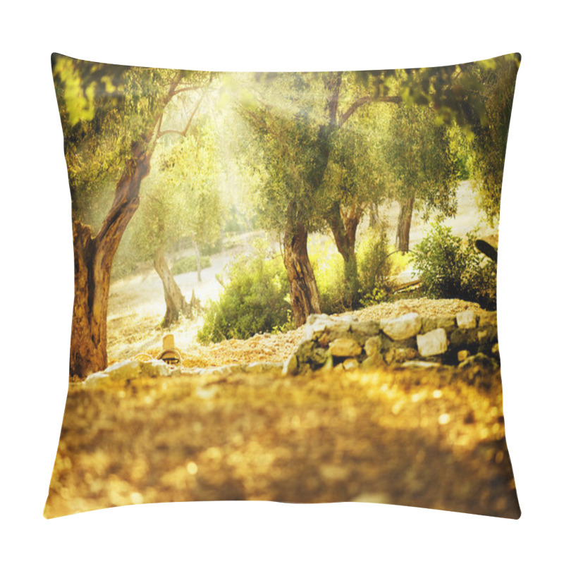 Personality  Olive Trees Pillow Covers