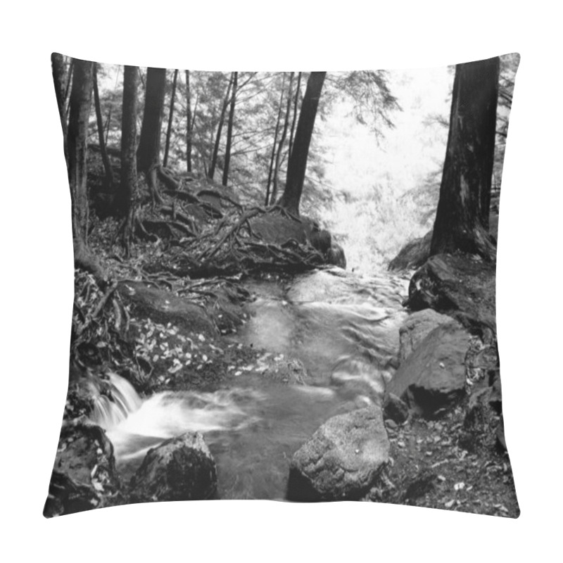 Personality  River Natural Black And White Monochrome Background Pillow Covers