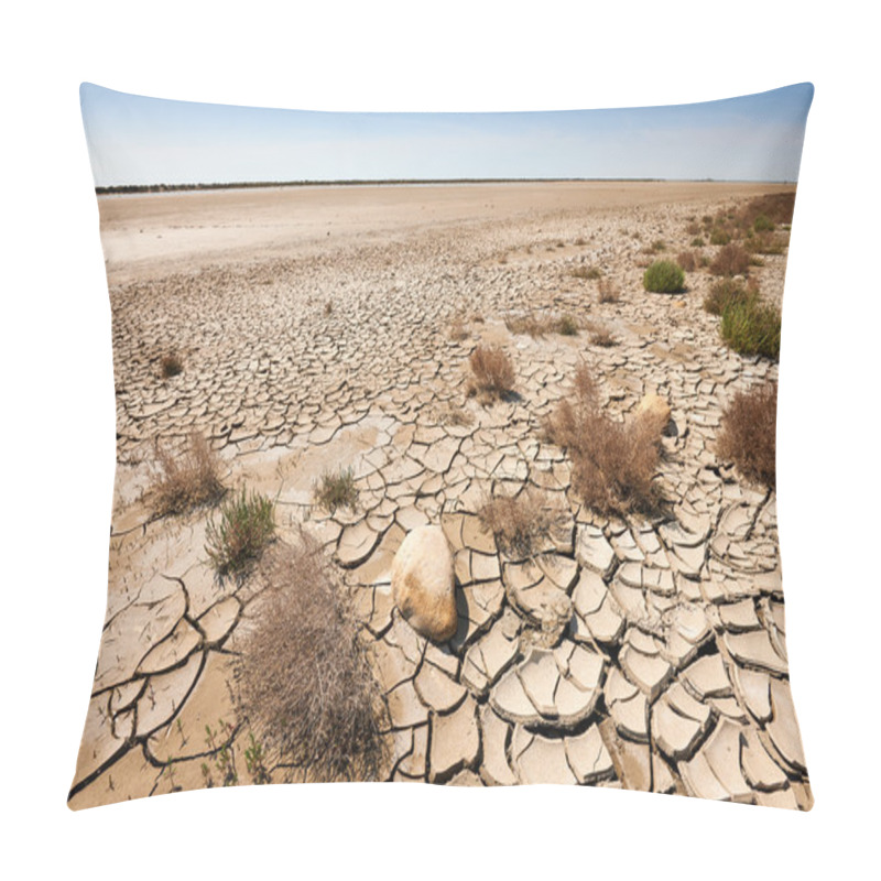 Personality  Arid And Waste Land Pillow Covers