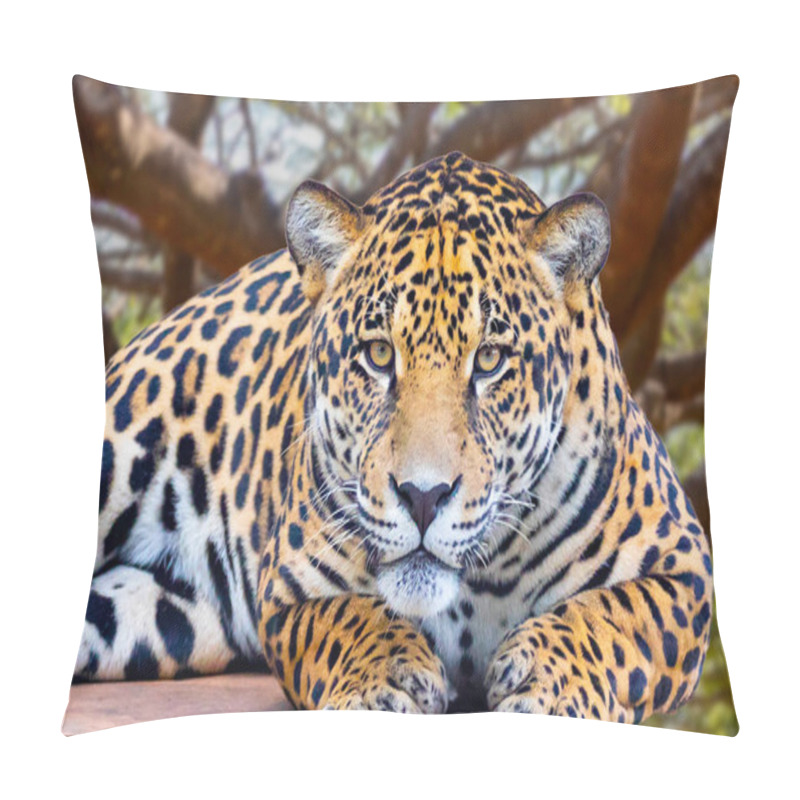 Personality  Jaguar (Panthera Onca) In Portrait And Selective Focus With Depth Blur Pillow Covers