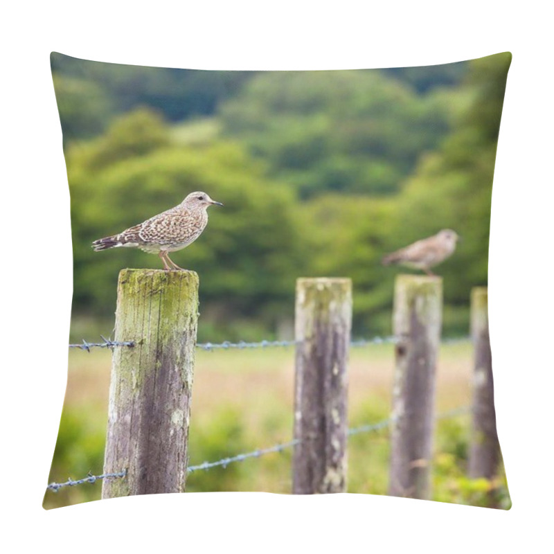 Personality  Birds Perched On A Fence Post In A Rural Countryside Pillow Covers