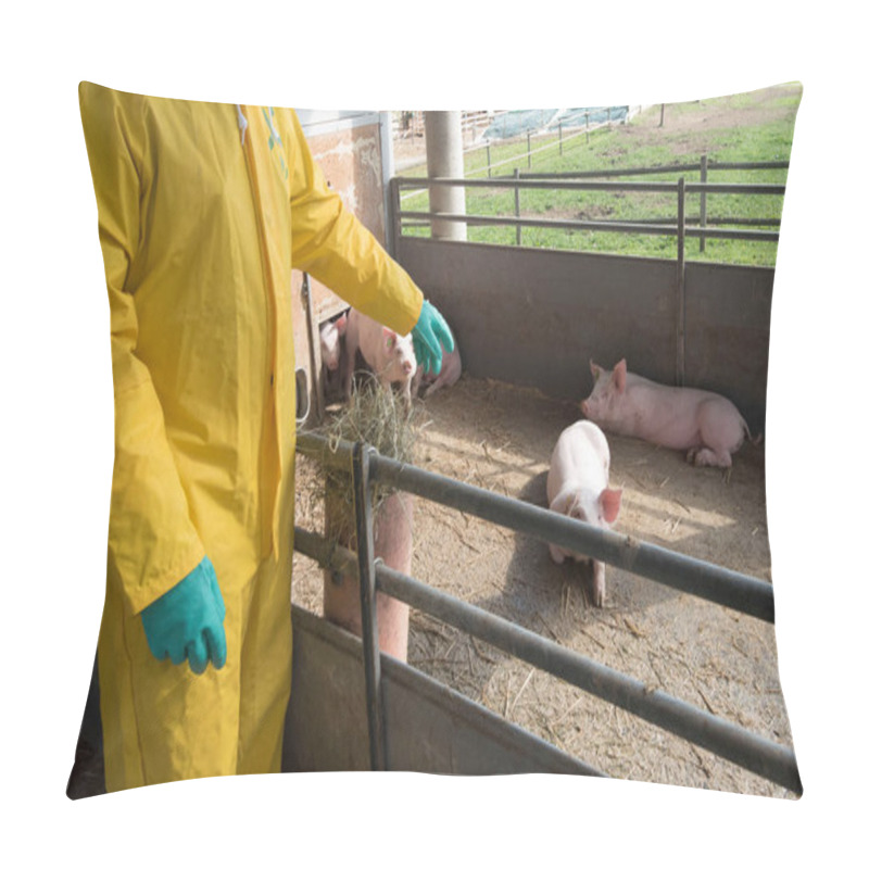 Personality  Classical Swine Fever Or Hog Cholera On A Farm With Pigs Pillow Covers