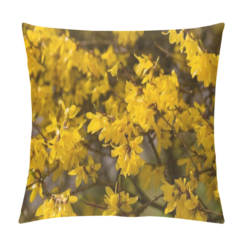 Personality  Blooming Forsythia Bush Pillow Covers