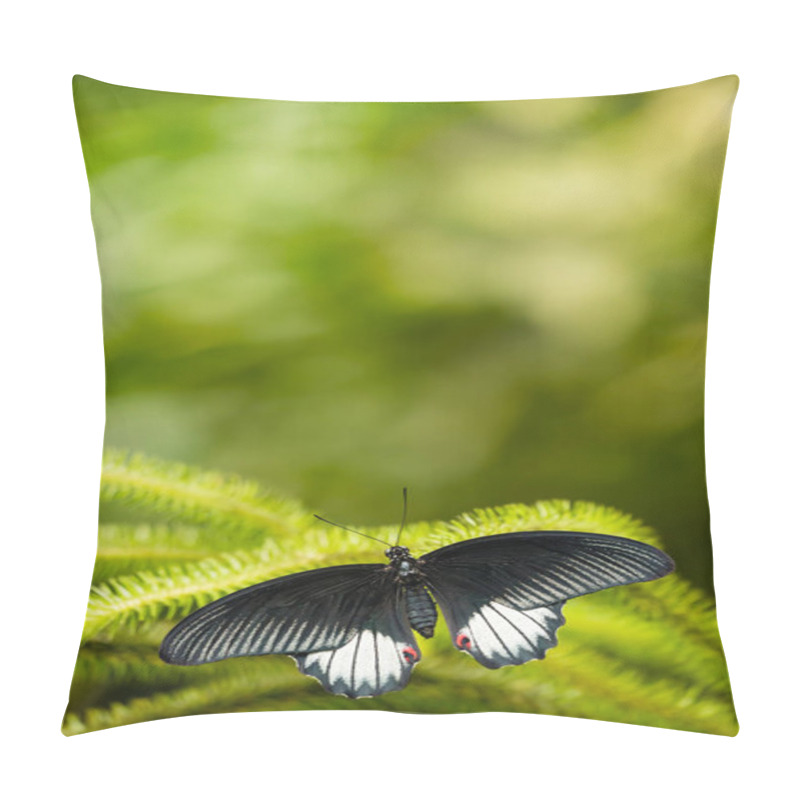 Personality  Black And White Tropical Butterfly With Green Background Pillow Covers