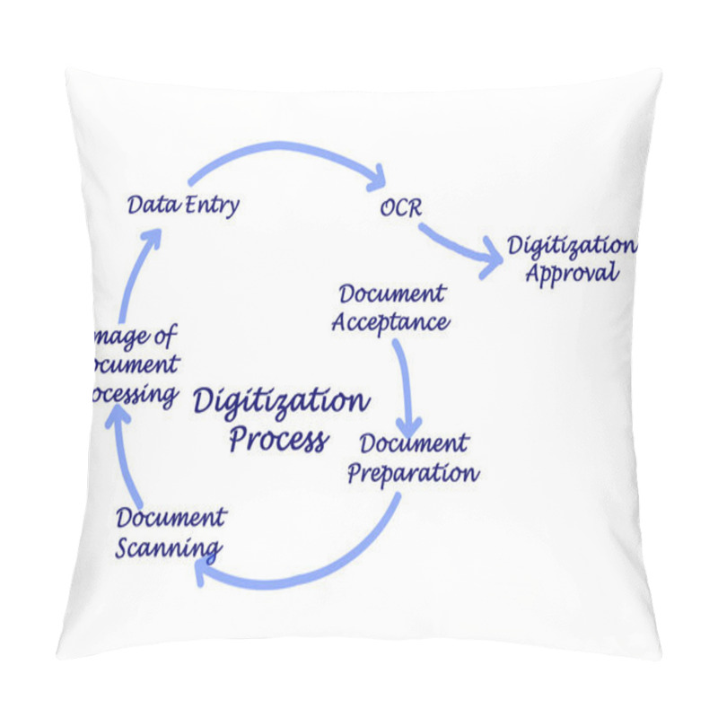 Personality  Steps Of Digitization Process Pillow Covers