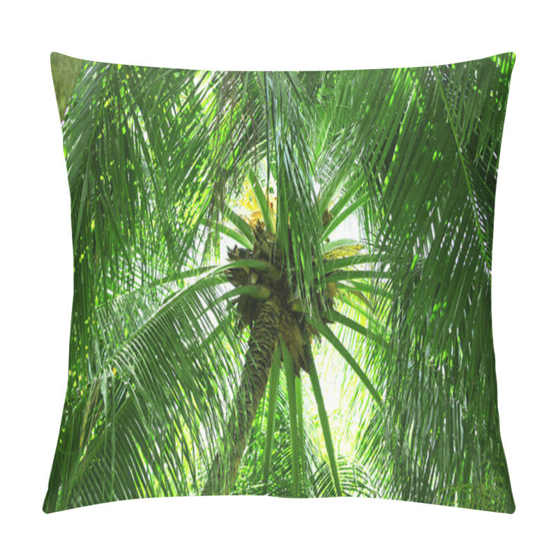 Personality  Green Leaves Of Exotic Palms Pillow Covers