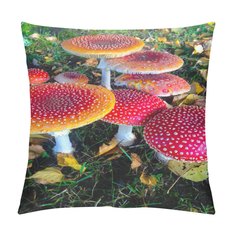 Personality  Mystical Red Mushrooms On Ground In Autumn Pillow Covers