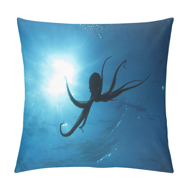 Personality  Octopus And Sun Pillow Covers