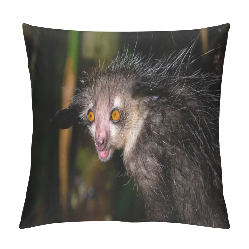 Personality  One Of The Rare Aye-Aye Lemur That Is Only Nocturnal Pillow Covers