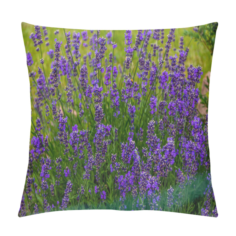 Personality  Beautiful Purple Lavender On A Green Background In A Garden In Closeup Pillow Covers