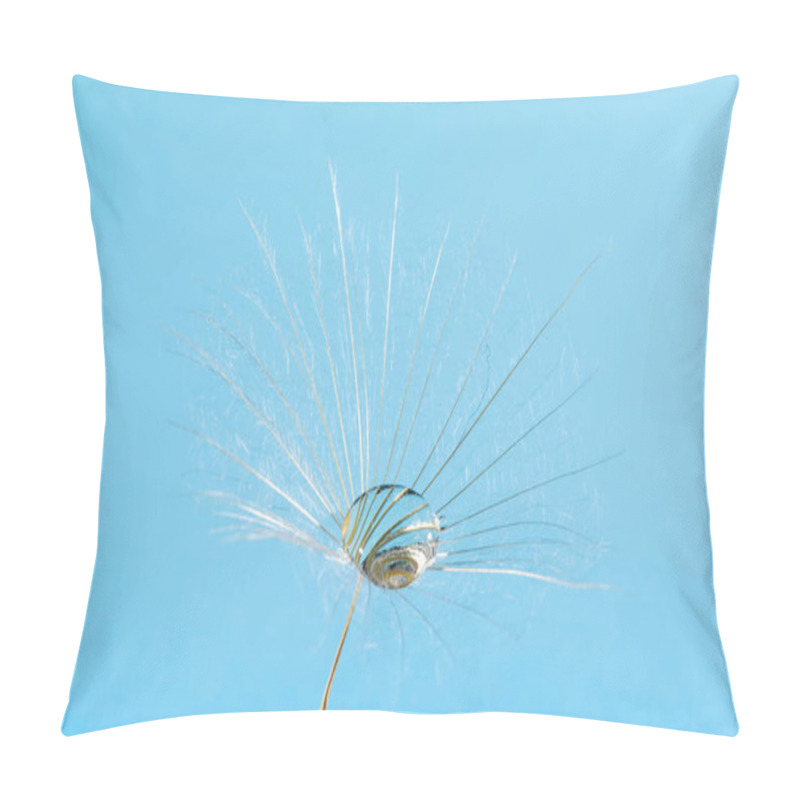 Personality   Macro Photo Of Dandelion Seeds With Water Drops Pillow Covers