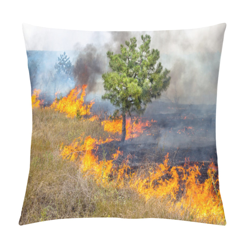 Personality  Severe Drought. Forest Fires In The Dry Wind Completely Destroy The Forest And Steppe. Disaster For Ukraine Brings Regular Damage To Nature And The Region's Economy. Pillow Covers