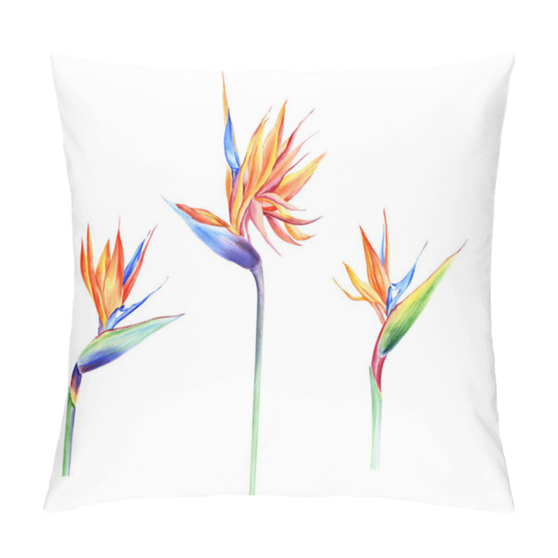 Personality  Watercolor Isolated Tropical Leaves And Flowers - Banana, Palm , Strelitzia. Great For Hawaii Wedding, Beach Party, Tropical Wedding Invites Pillow Covers